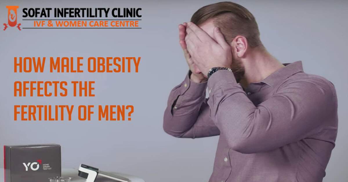 How Male Obesity Affects The Fertility Of Men?