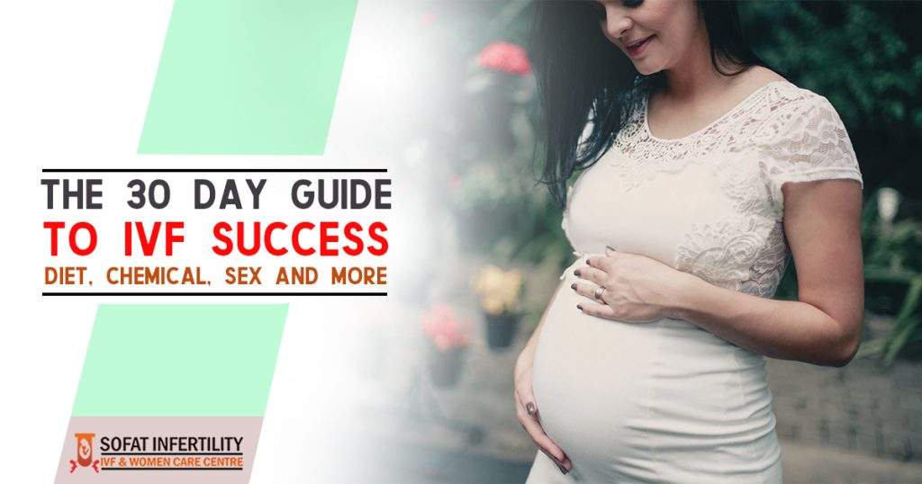 The 30 Day Guide To IVF Success Diet, Chemical, sex and more.jpg