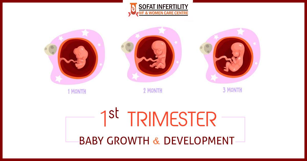 First Trimester Tests During Pregnancy - Mama Natural