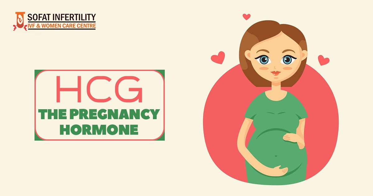 HCG – The Pregnancy hormone