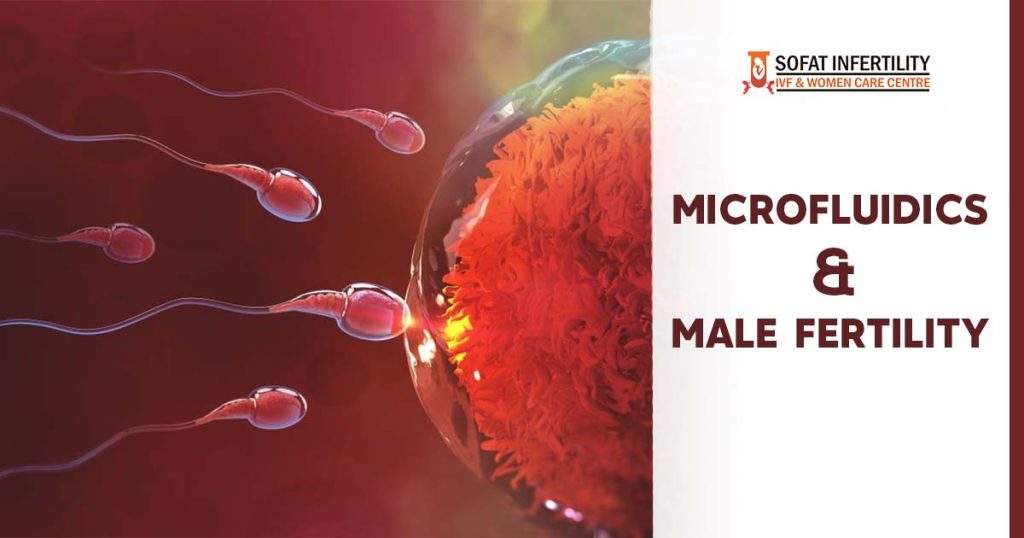 Microfluidics and Male fertility