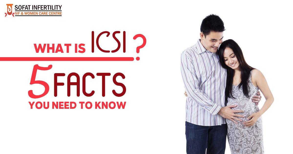 What Is ICSI 5 Facts You Need To Know 