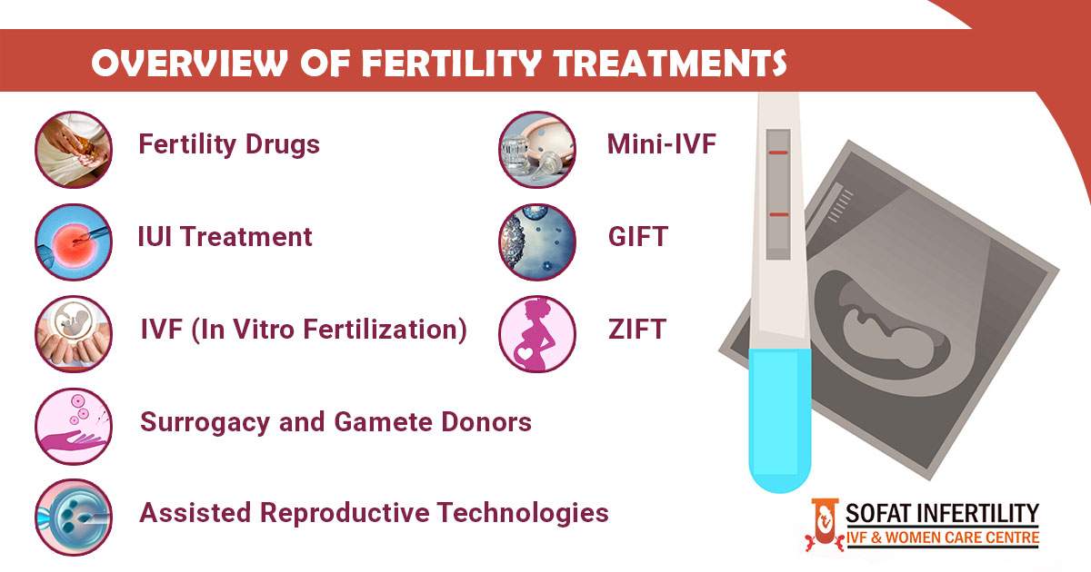 Overview Of Fertility Treatments Dr Sumita Sofat Dr Sumita Sofat Ivf Hospital Blog 