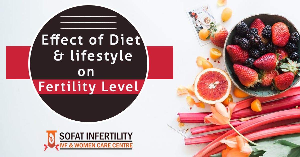 Effect of diet and lifestyle on Fertility Level