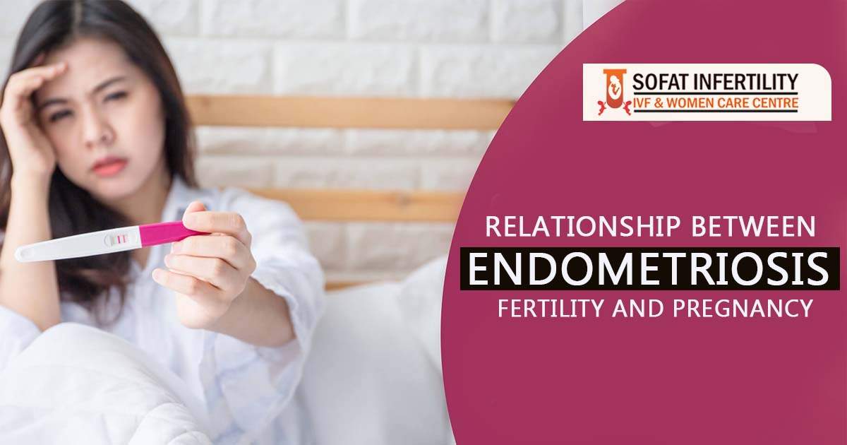 Relationship between Endometriosis, Fertility and Pregnancy