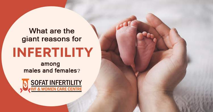 What-are-the-giant-reasons-for-infertility-among-males-and-females