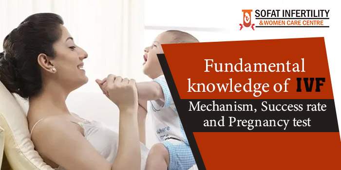 Fundamental knowledge of IVF - Mechanism, Success rate and pregnancy test