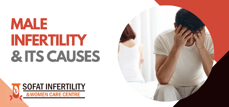 MALE INFERTILITY & ITS CAUSES