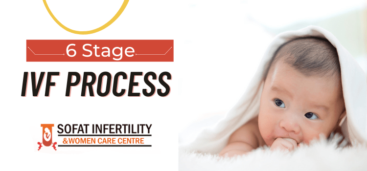 _6 stage IVF process